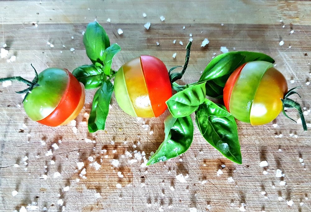 Photograph by Mojca Rebol