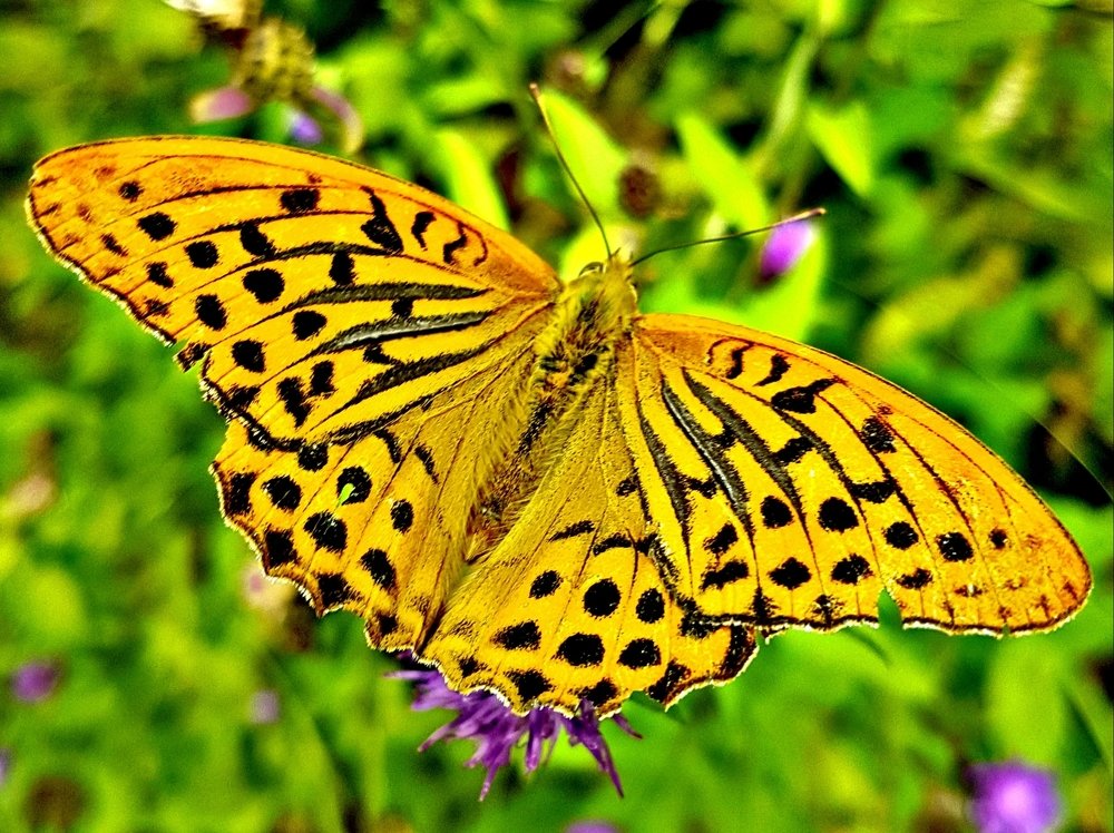 Photograph by Mojca Rebol