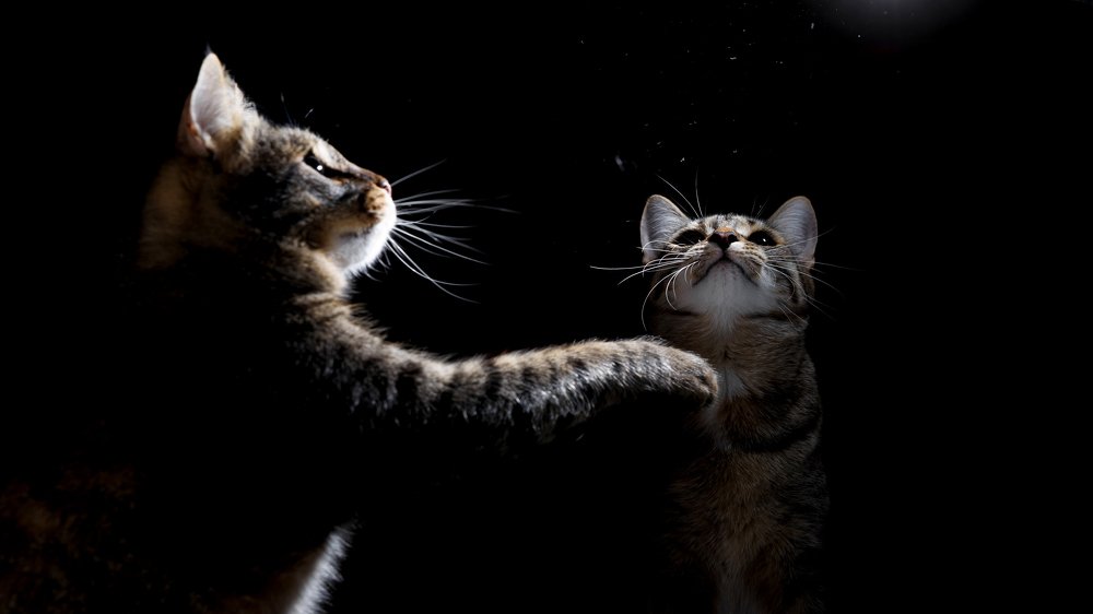 Photograph by Ильяс Бекмансуров