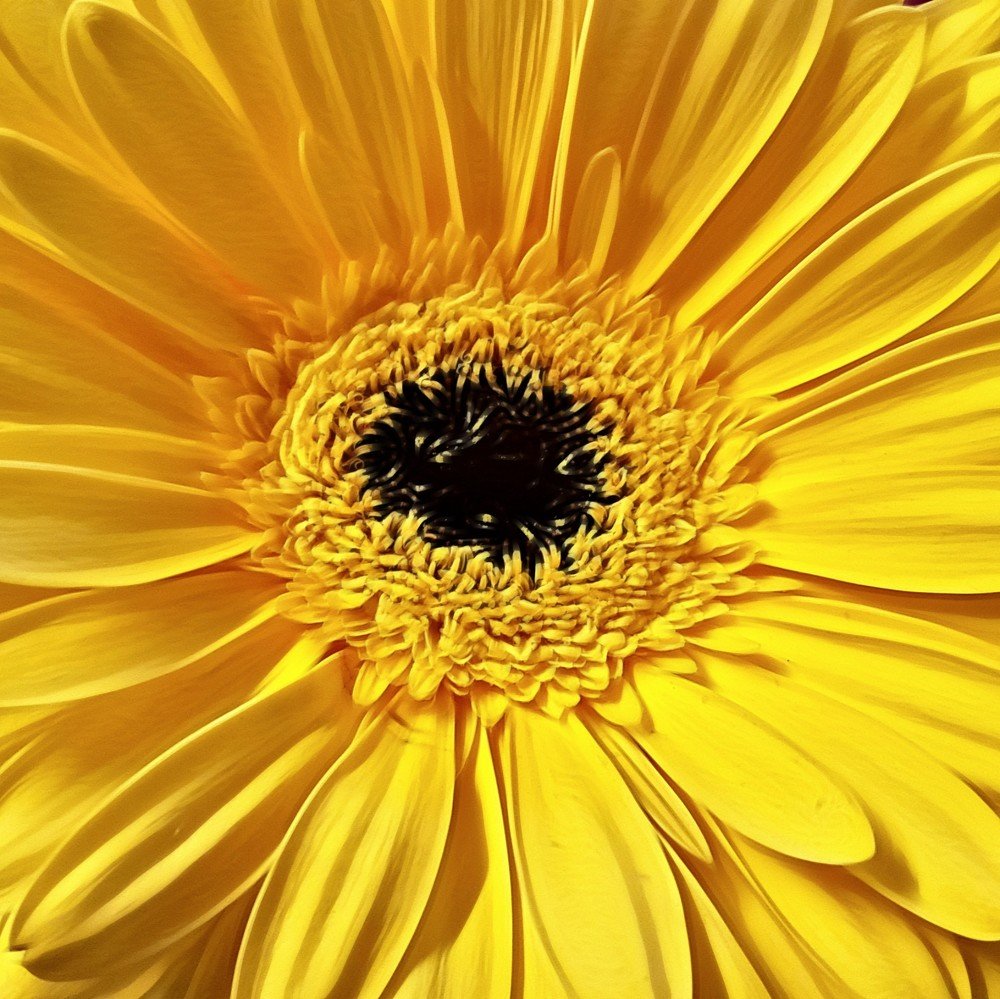 Photograph by Mojca Rebol