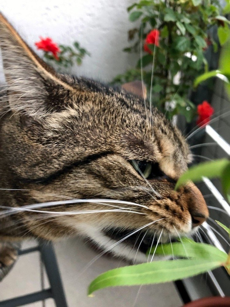 Photograph by Марина Дикманн