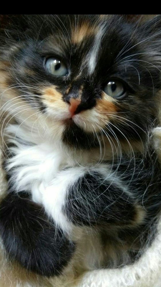 Photograph by Айгуль Даулетбакова