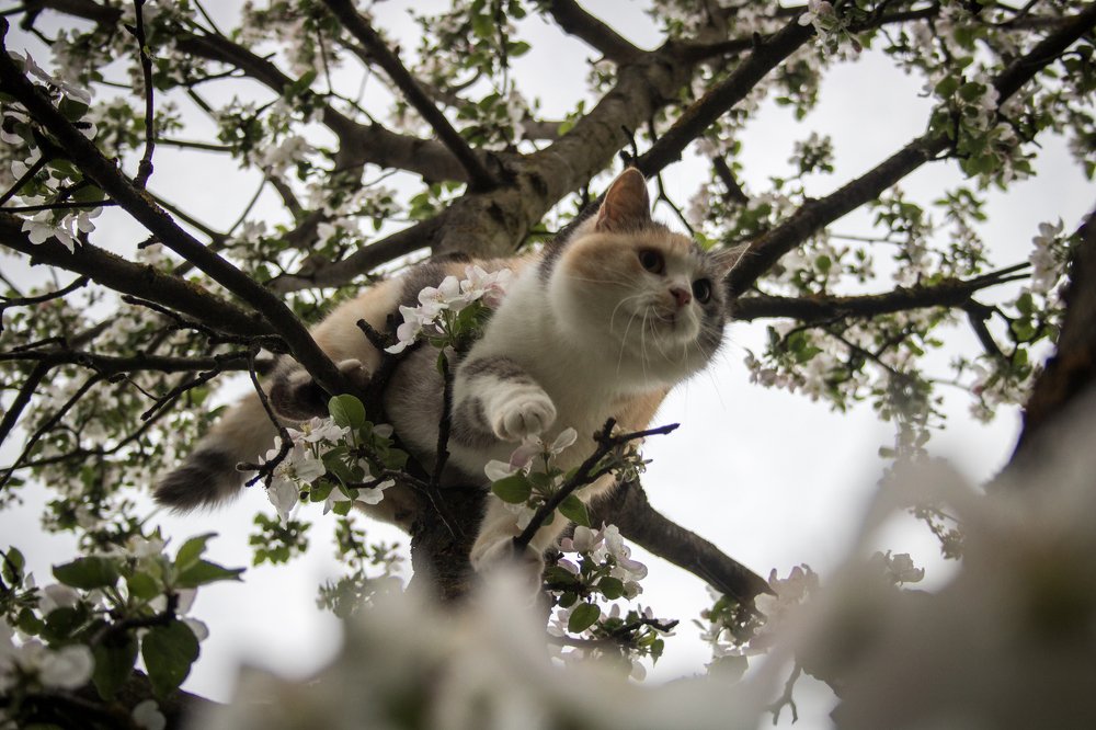 Photograph by Денис Гритчук