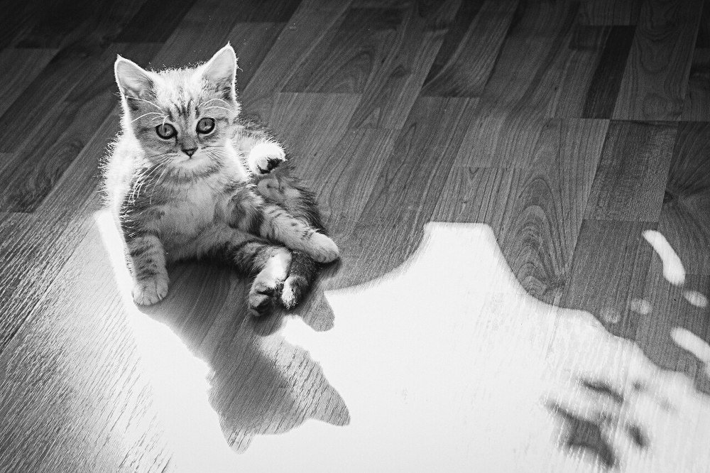 Photograph by Олеся Сидорук