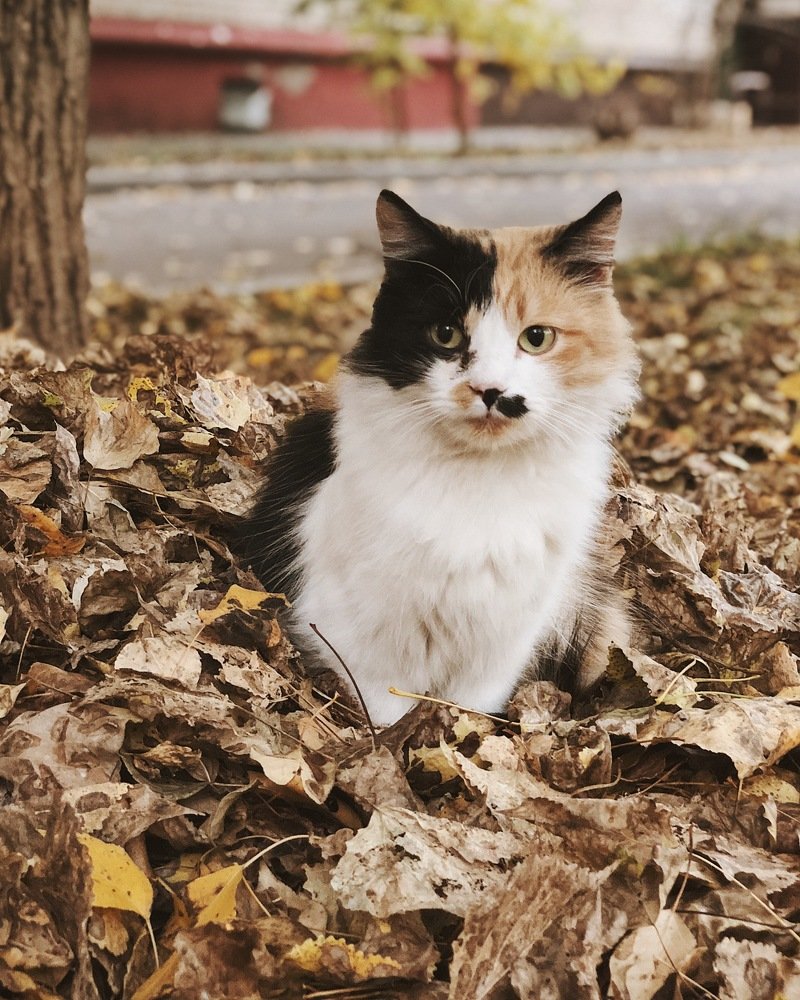 Photograph by Nastja Asipkina