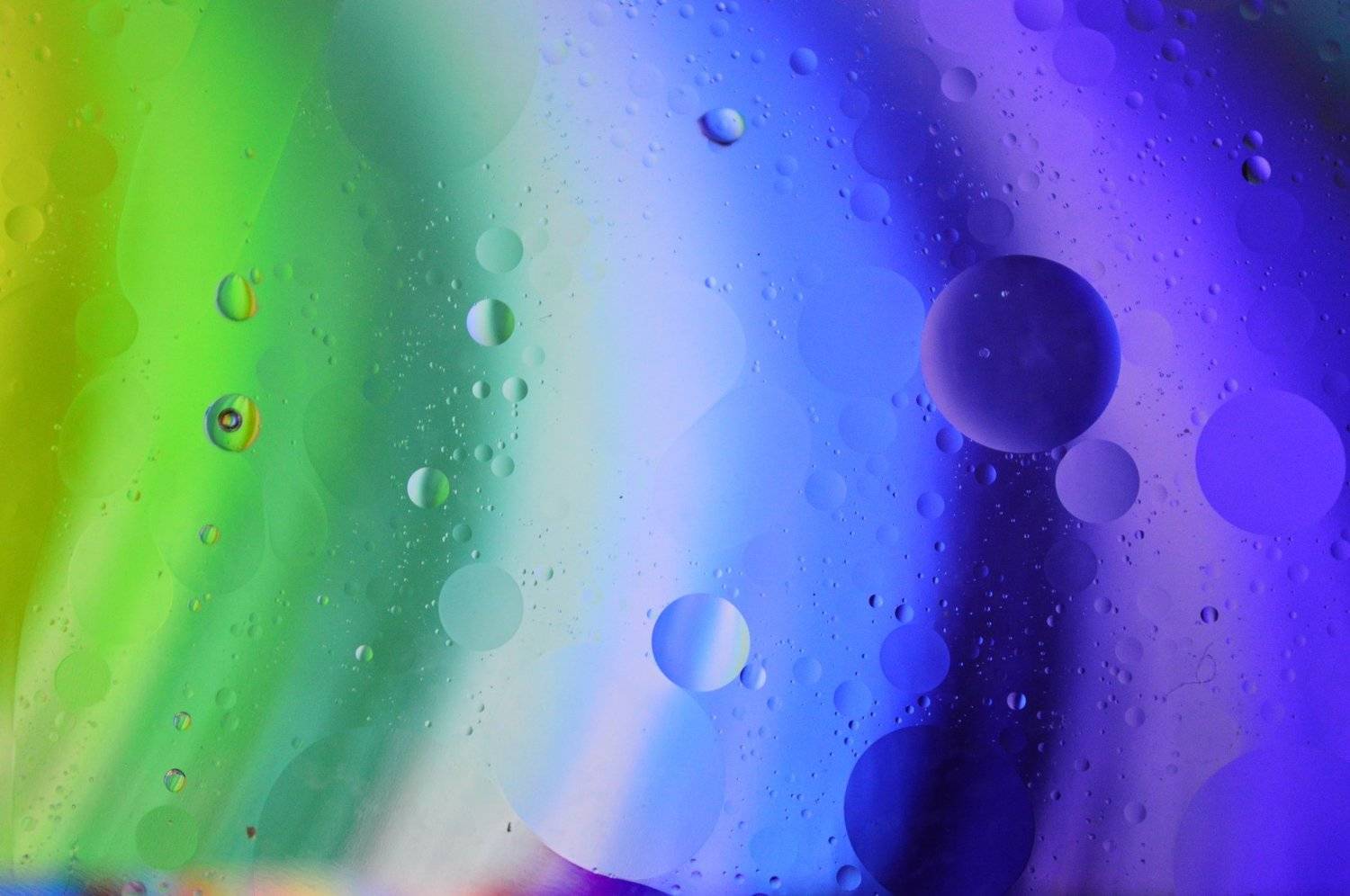 Photo #3535458