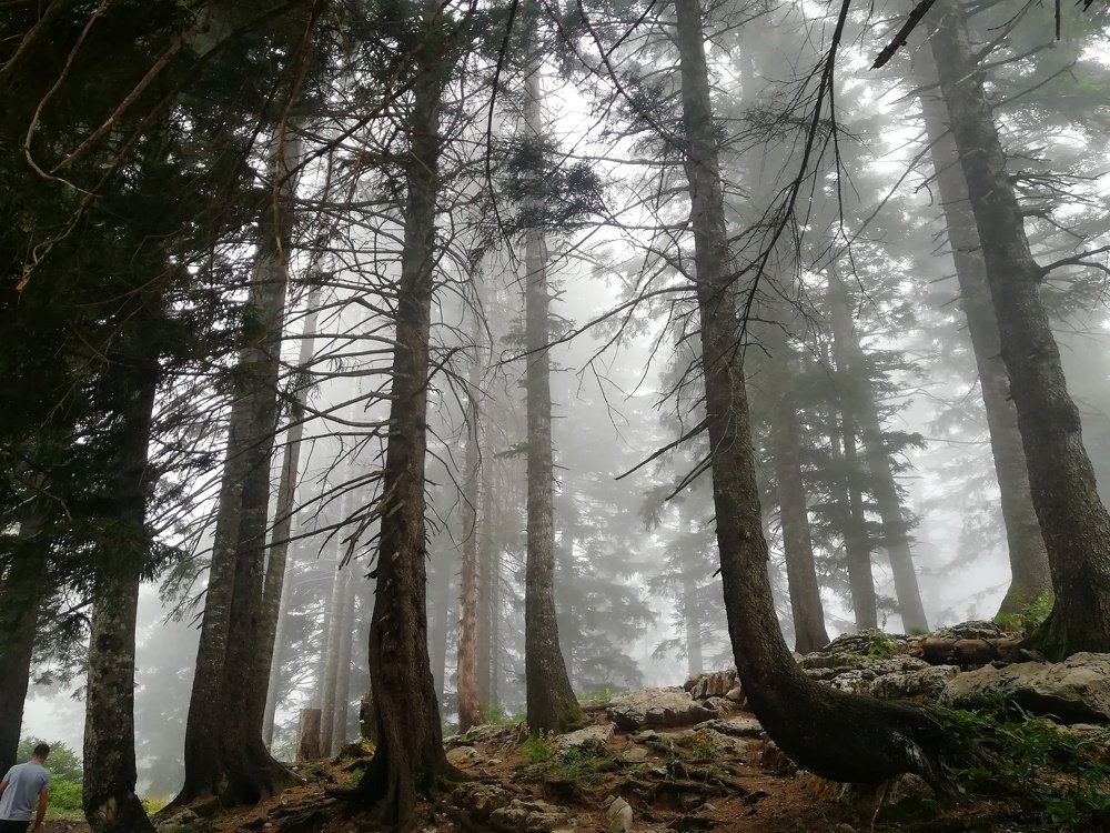 Photograph by Anjela Tonoian