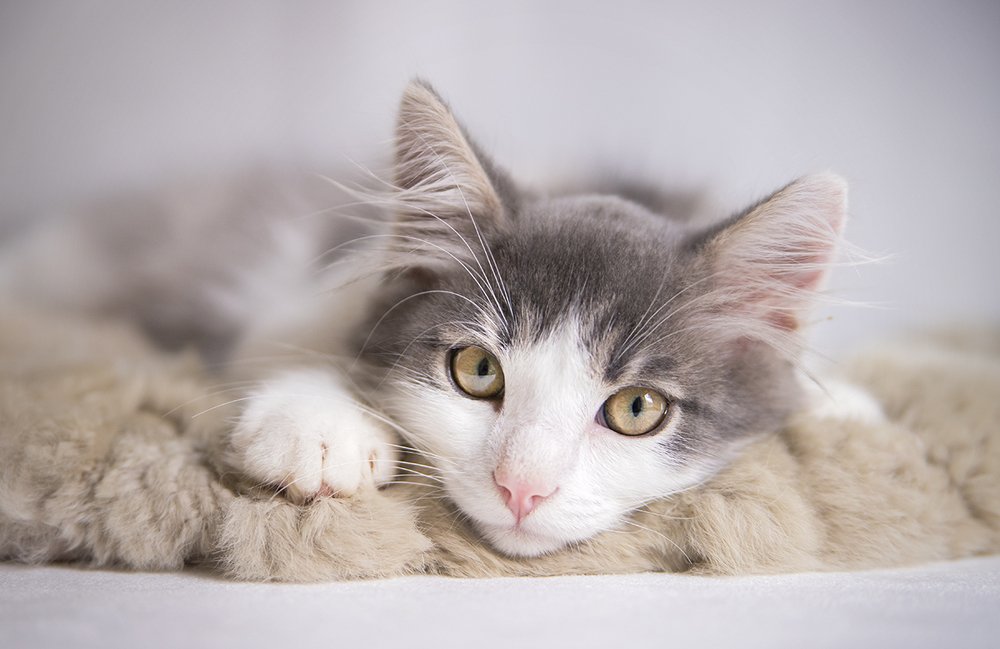 Photograph by Ирина Леонова