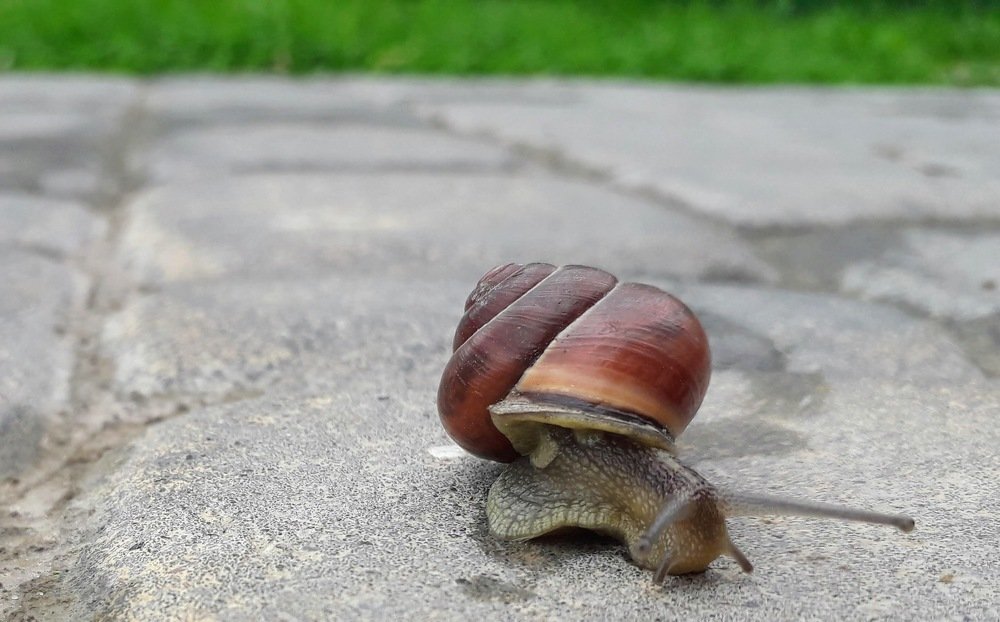 Photograph by Helen Seleznova