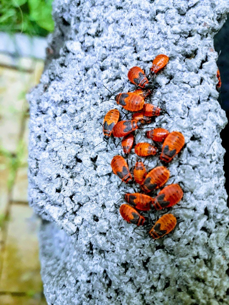 Photograph by Helen Seleznova