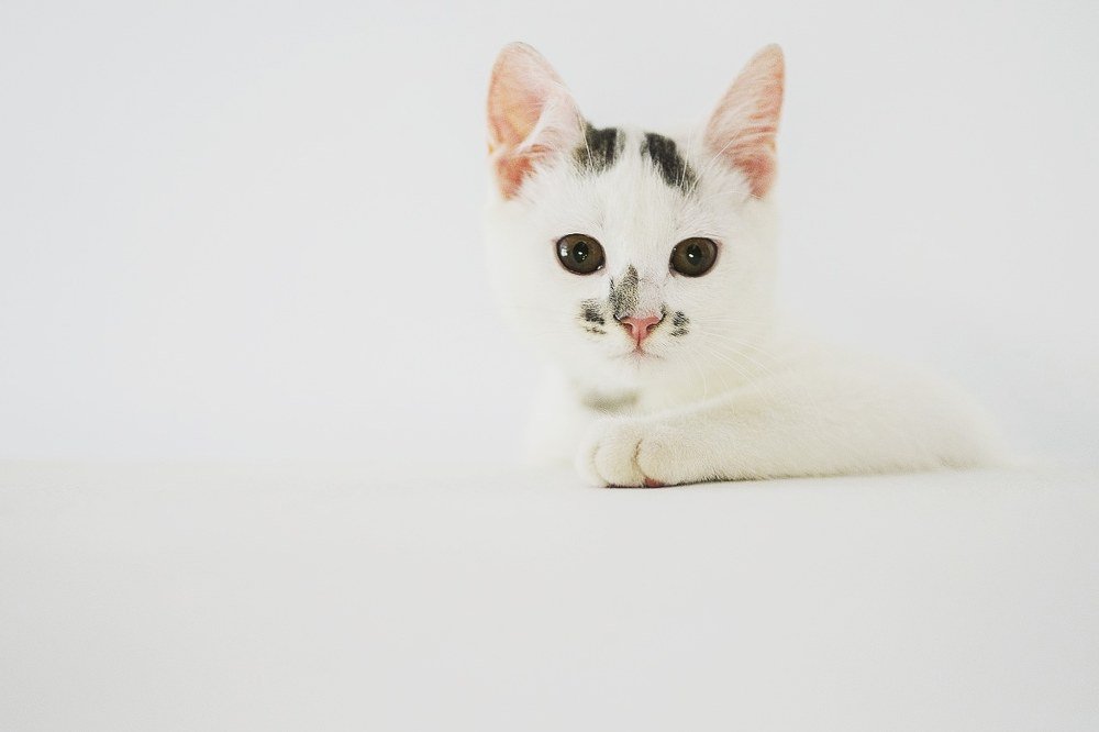 Photograph by Ксения Щербакова