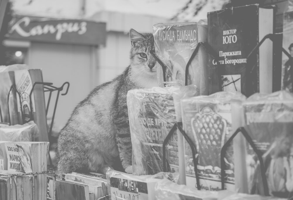 Photograph by Polina Sharapova