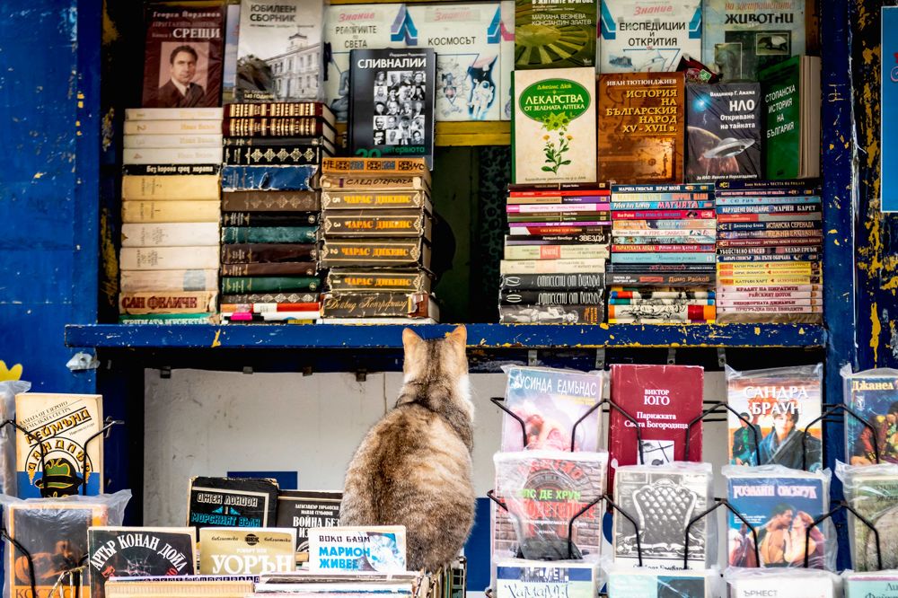 Photograph by Polina Sharapova