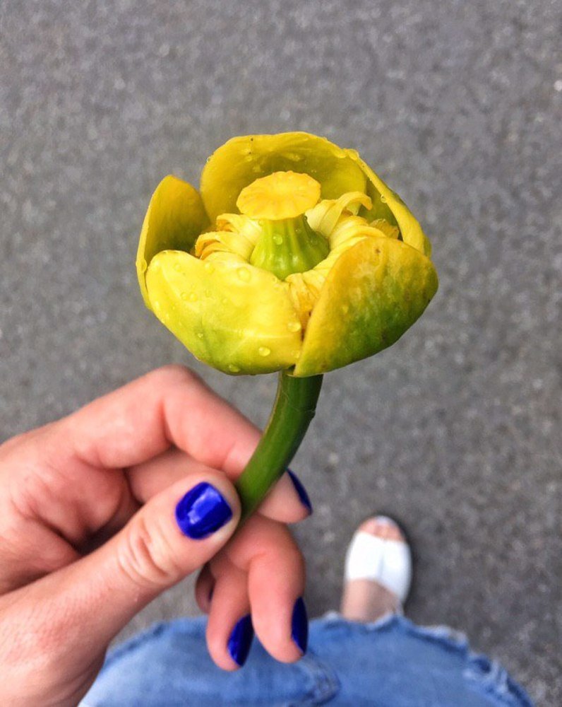 Photograph by Александра Морозова