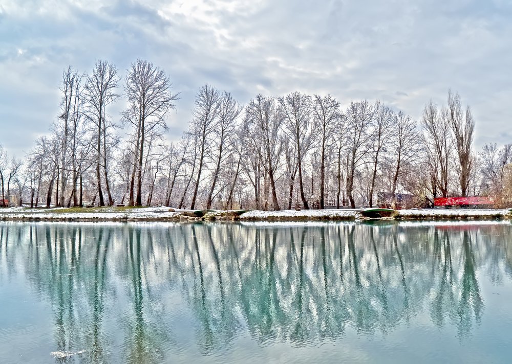 Photograph by Iraj Jabbari