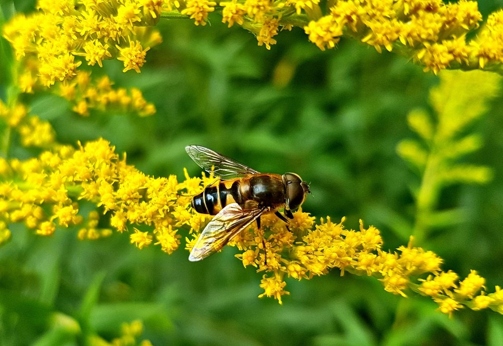 Photograph by Mojca Rebol