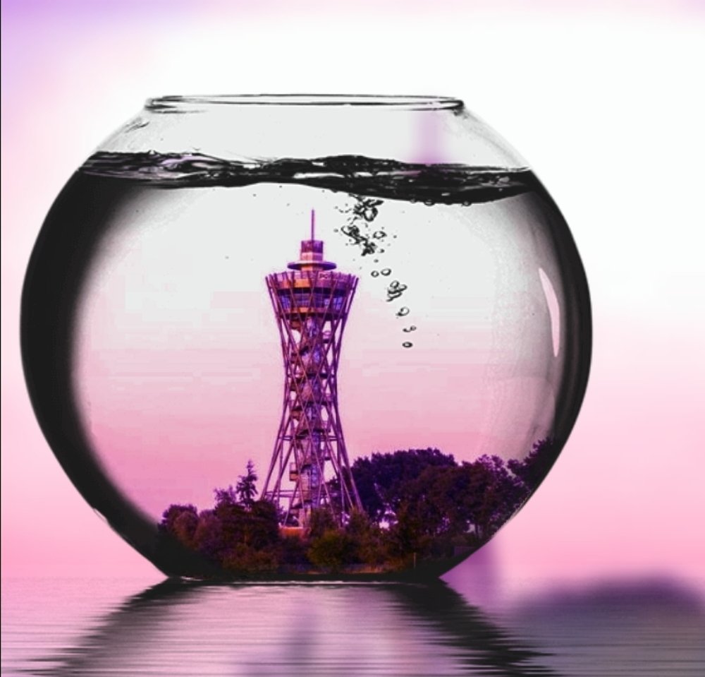 Photograph by Mojca Rebol