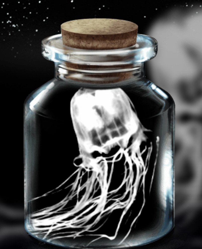 Photograph by Mojca Rebol