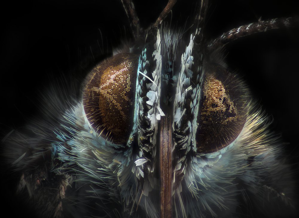 Photograph by Дима