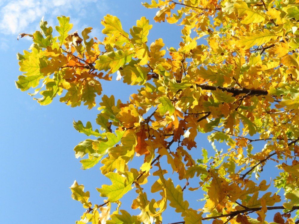 Photograph by Марина Осипова