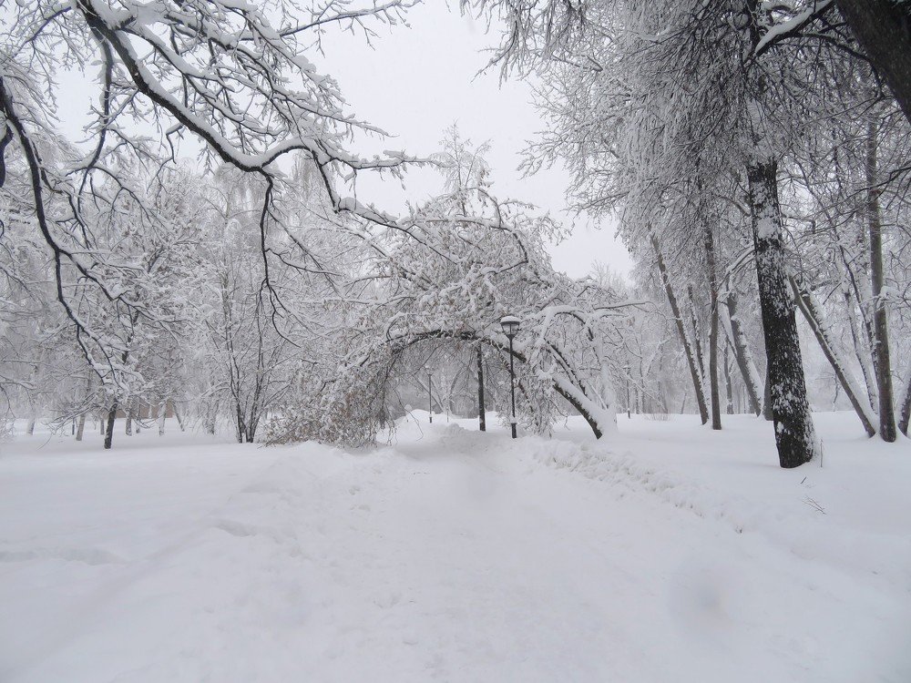 Photograph by Марина Осипова