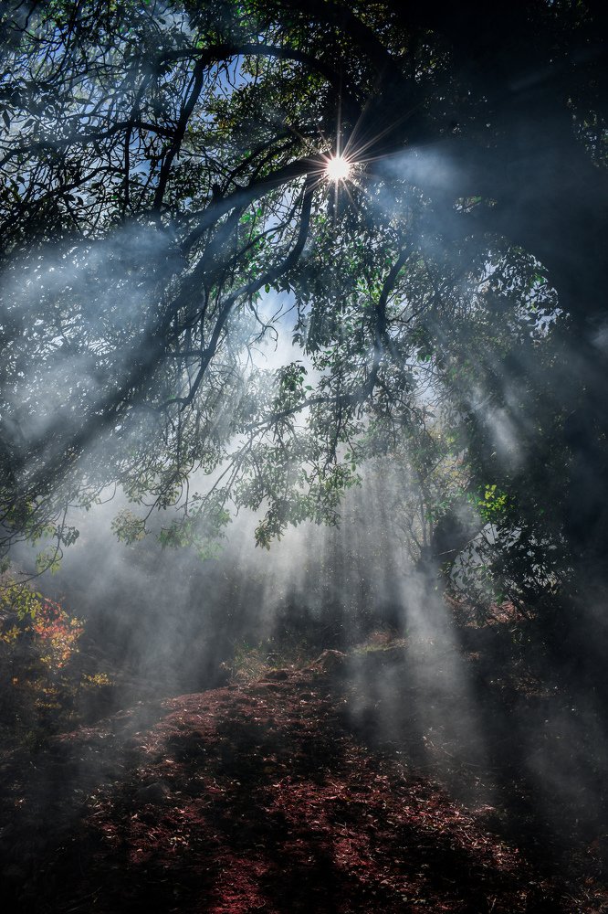 Photograph by Mohammad Sadegh Vasiei