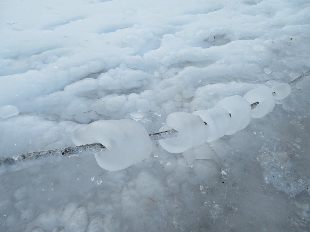 Photograph by Марина Осипова