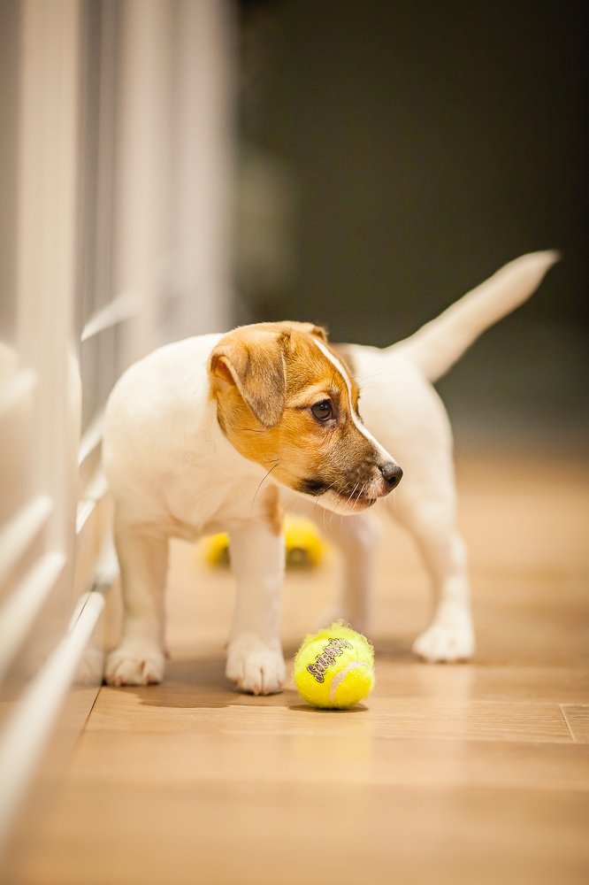 Photograph by Сергей Крюков