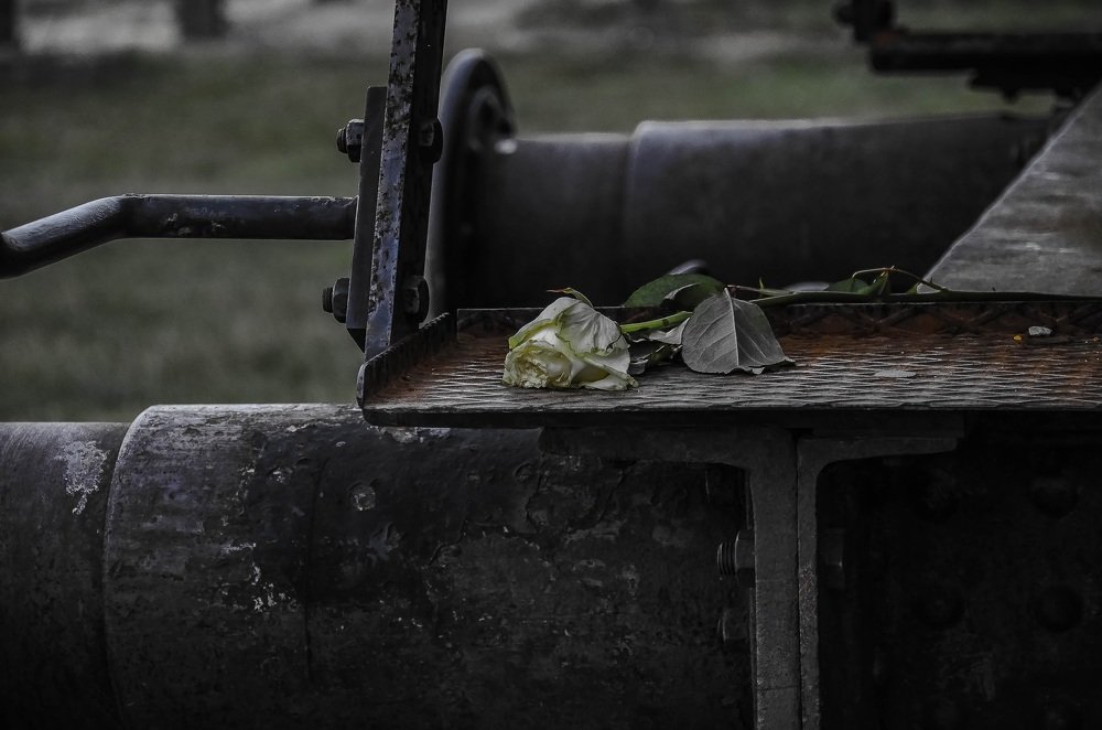 Photograph by Dimitris Michael