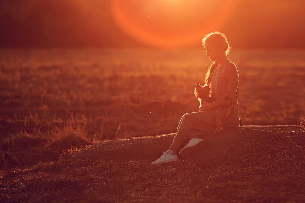 Photograph by Кулик Ольга