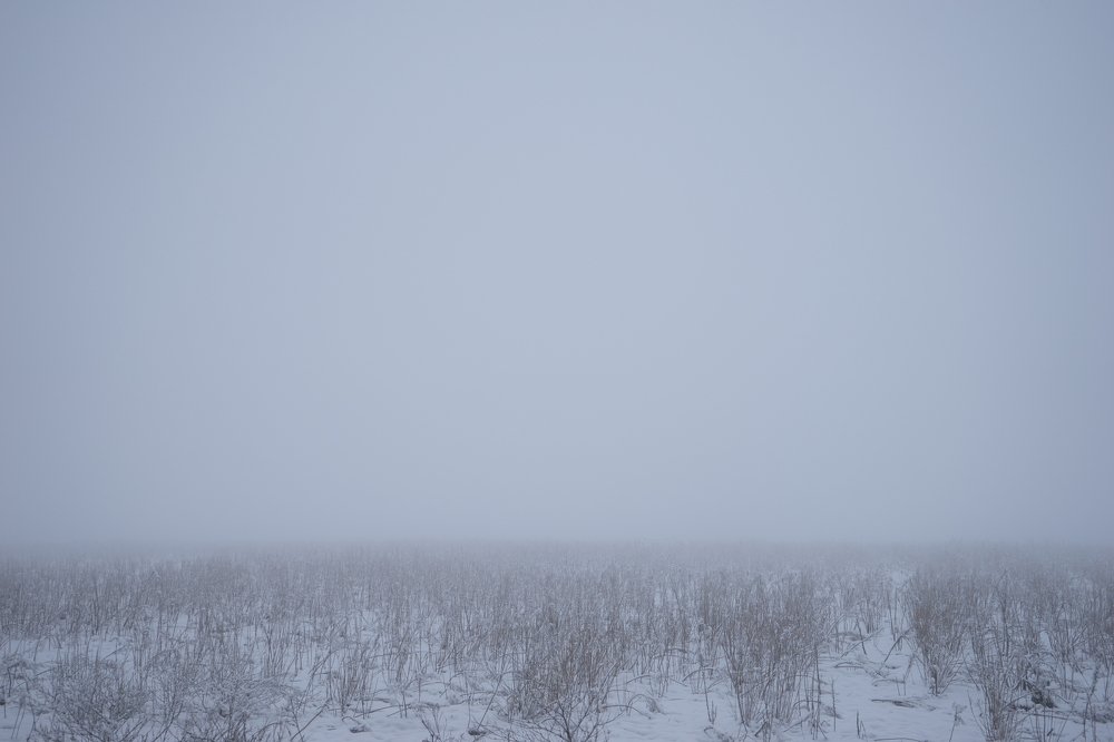 Photograph by Виктор Зотов