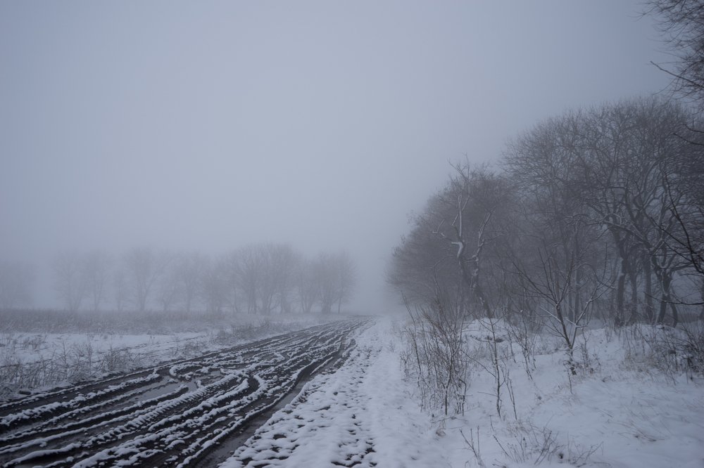 Photograph by Виктор Зотов