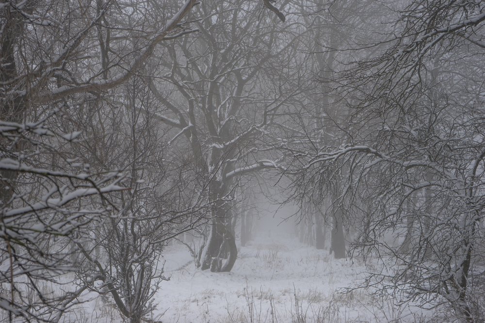 Photograph by Виктор Зотов