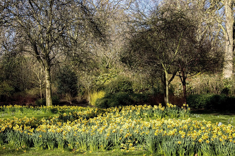 Photograph by Monica Macri