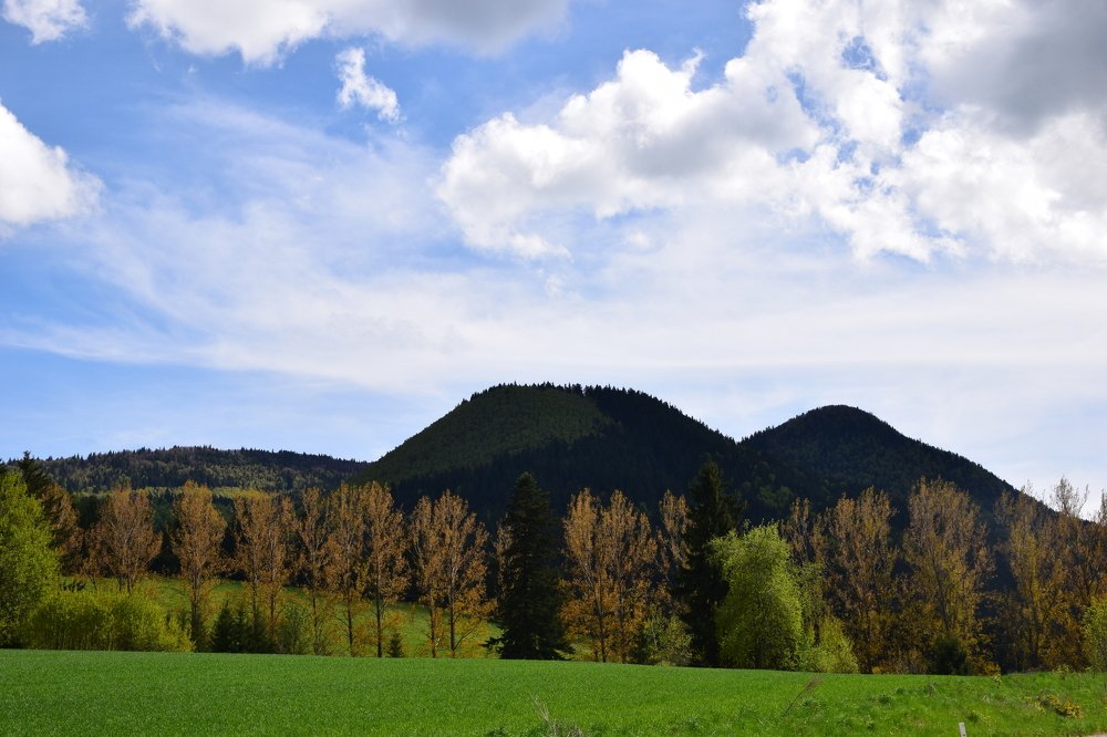 Green breeze