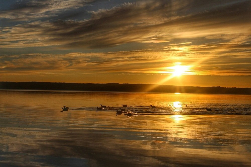 Photograph by Лолита Жукова