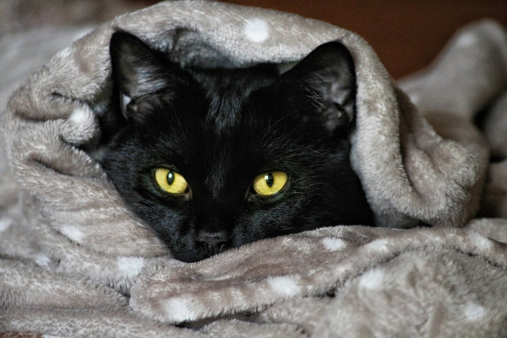 Photograph by Teodora Codreanu