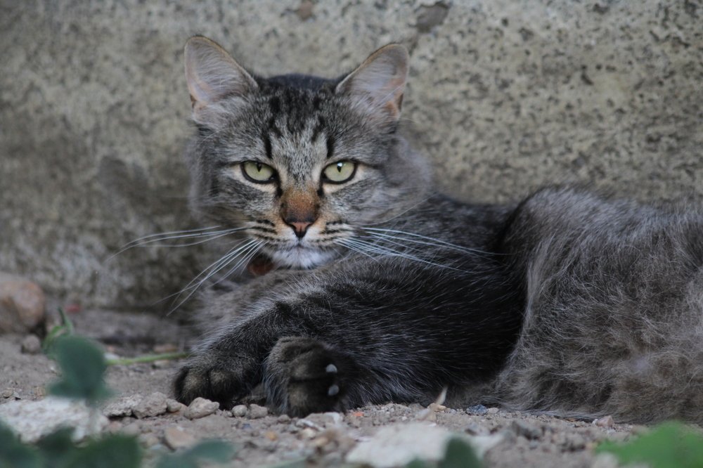 Photograph by Teodora Codreanu