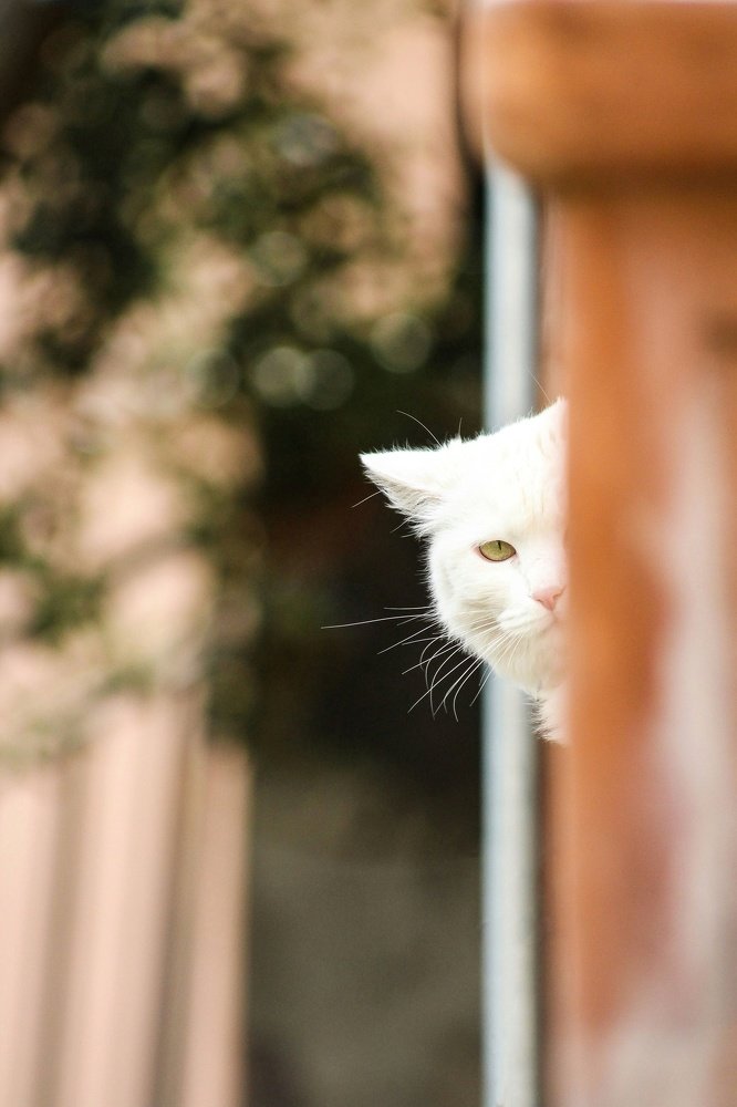 Photograph by Teodora Codreanu