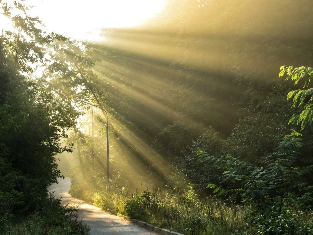 Photograph by Андрей