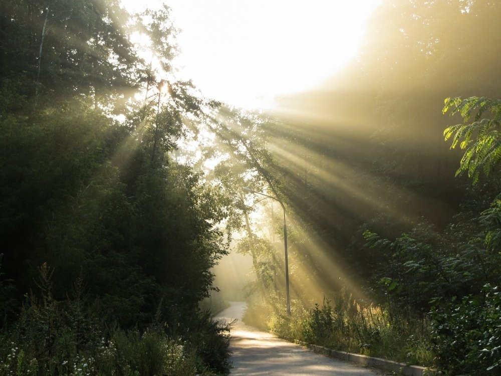 Photograph by Андрей