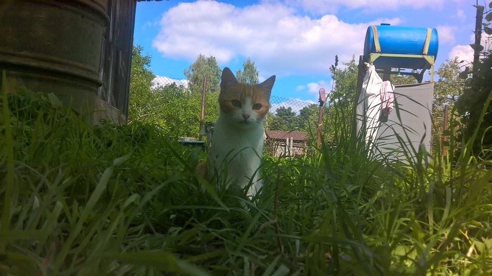 Photograph by Митя Стрельников