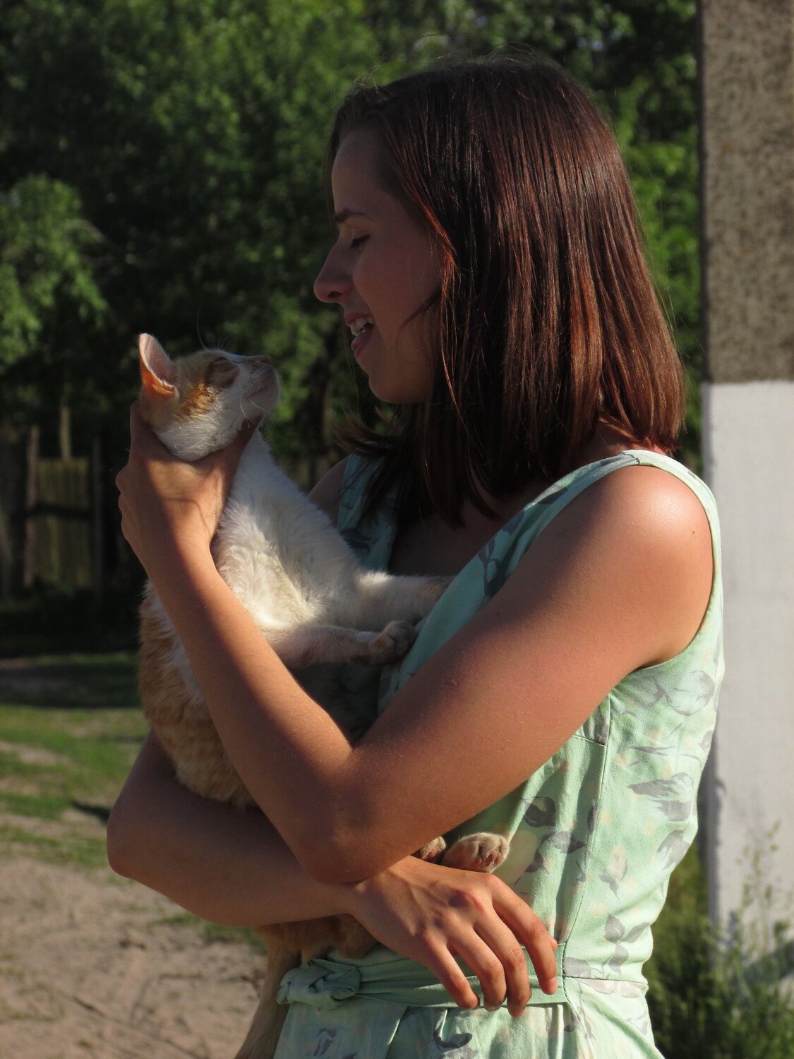 Photo #3536322