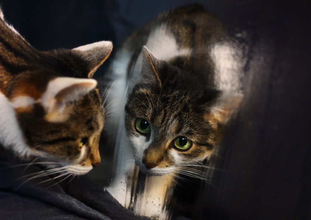 Photograph by Ирина Семячкова