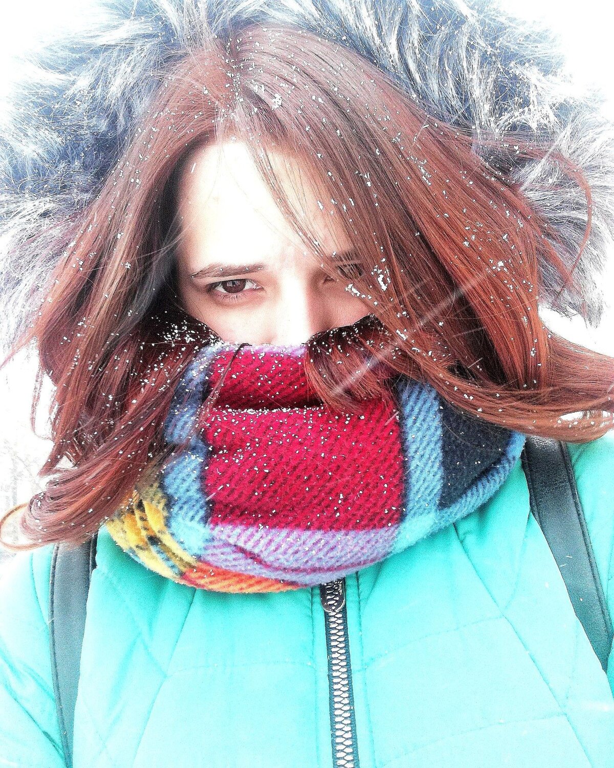 Photo #3536328