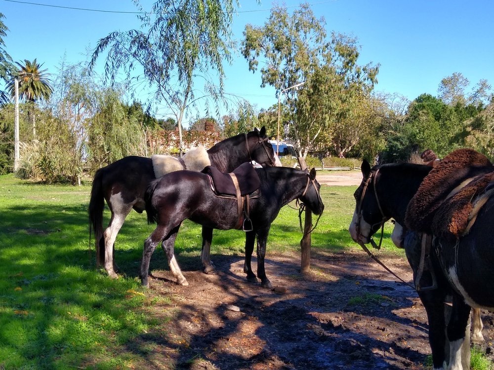 Photograph by ALBA IRIS SOLIS