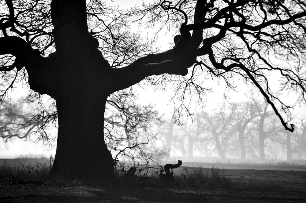 Photograph by Robert Woźniak