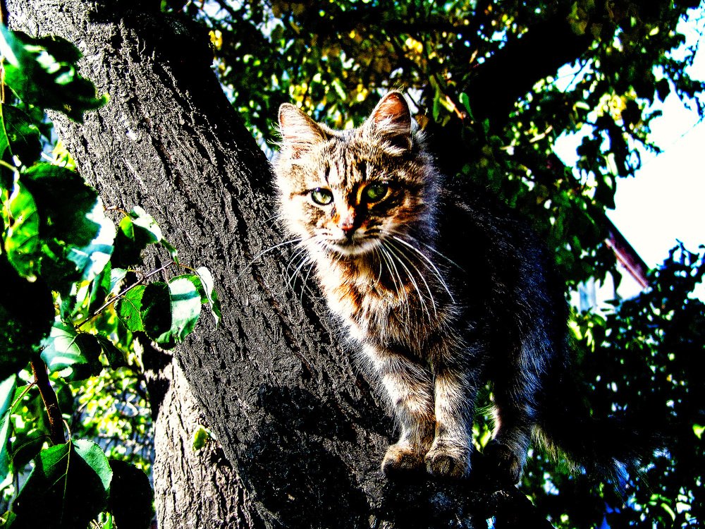 Photograph by Андрей Торшин