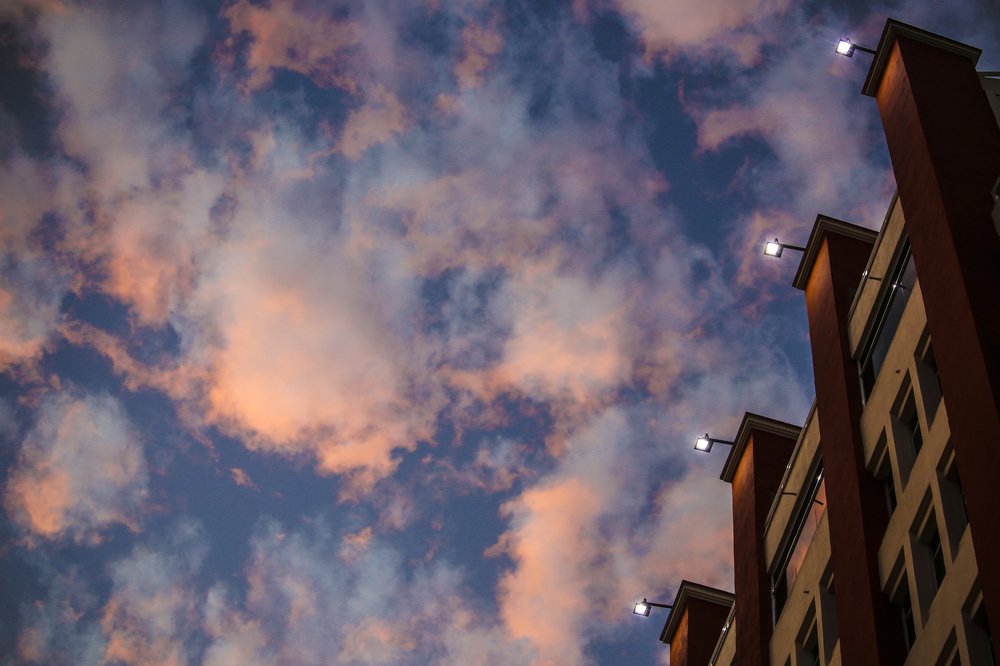 Blue marbled in the city sunset