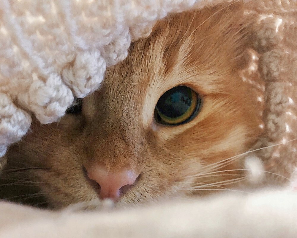 Photograph by Александра Шампорова